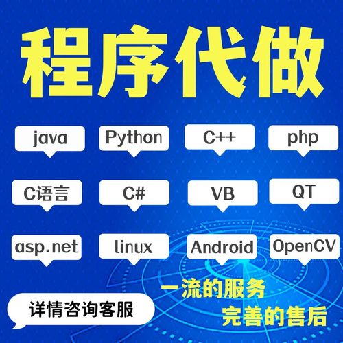 计算机C++代码java程序代做Python代写PHP编程c#软件qt安卓vb设计商务服务